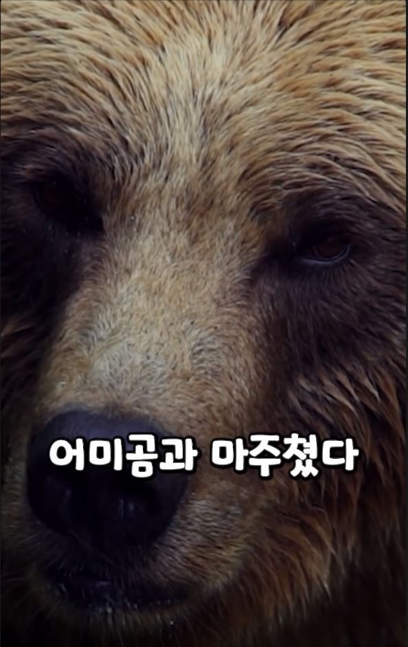 흑곰과 싸워서 이긴 60대 전직복서