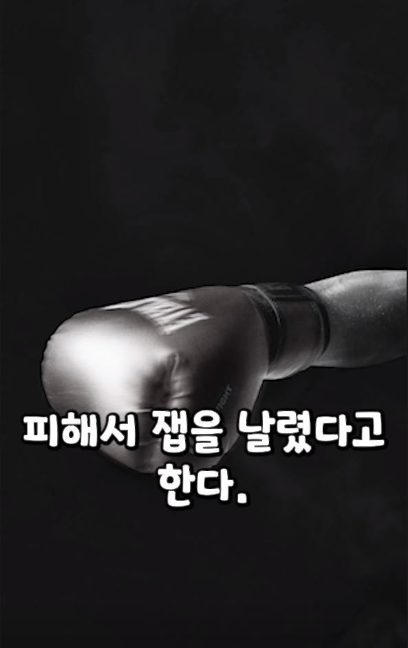 흑곰과 싸워서 이긴 60대 전직복서