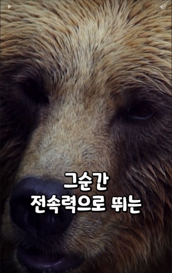 흑곰과 싸워서 이긴 60대 전직복서