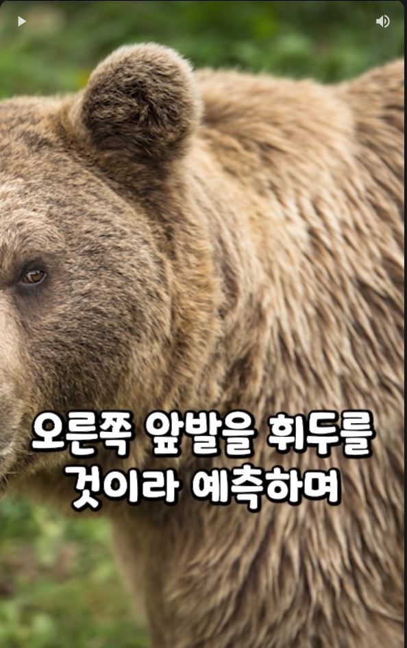 흑곰과 싸워서 이긴 60대 전직복서