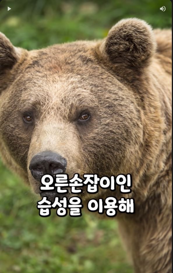 흑곰과 싸워서 이긴 60대 전직복서