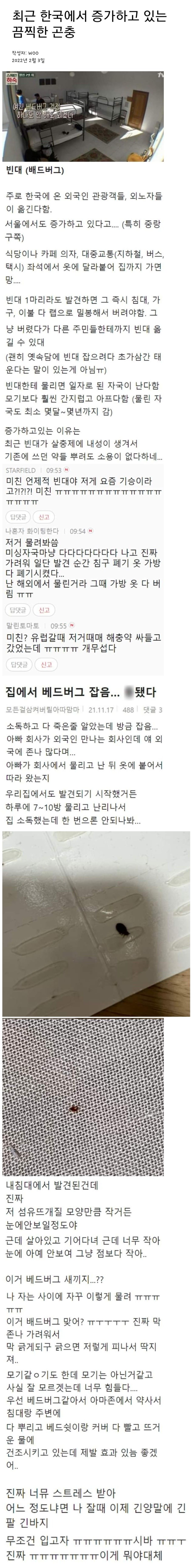 최근 한국에 증가하고 있는 끔찍한 곤충