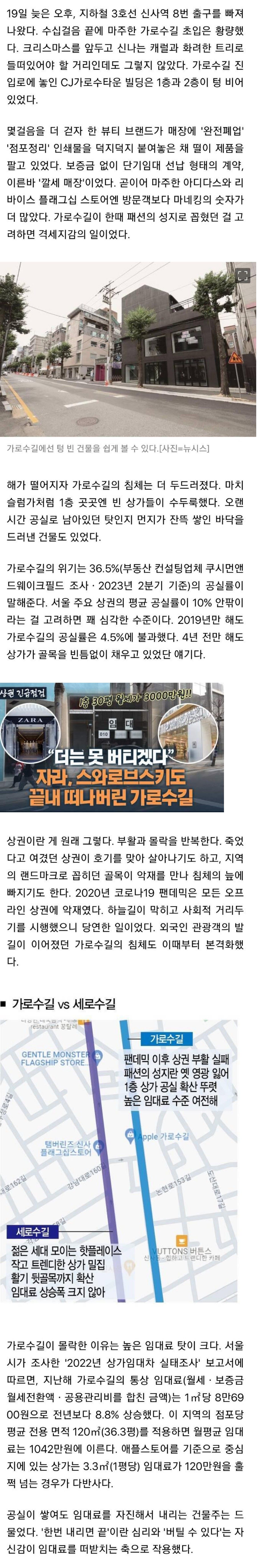 강남 가로수길 근황