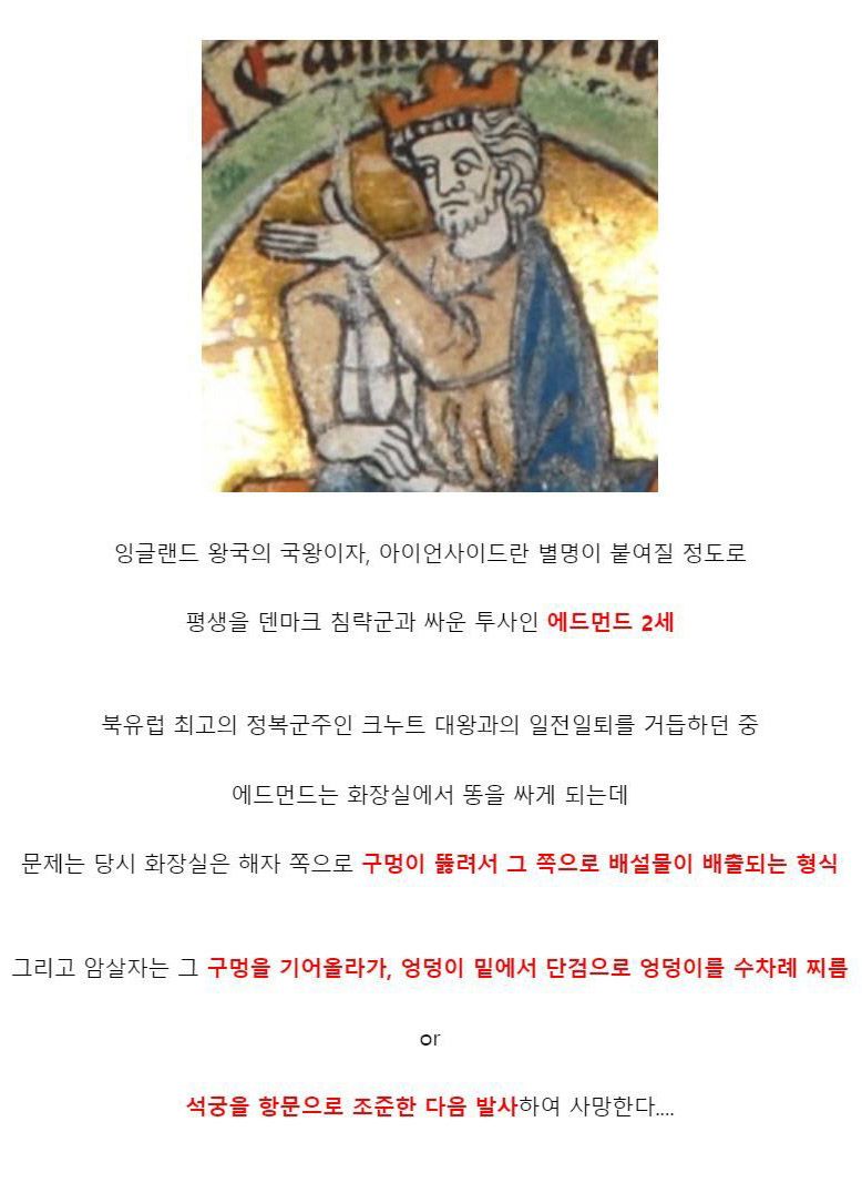 똥싸다 살해당한 왕