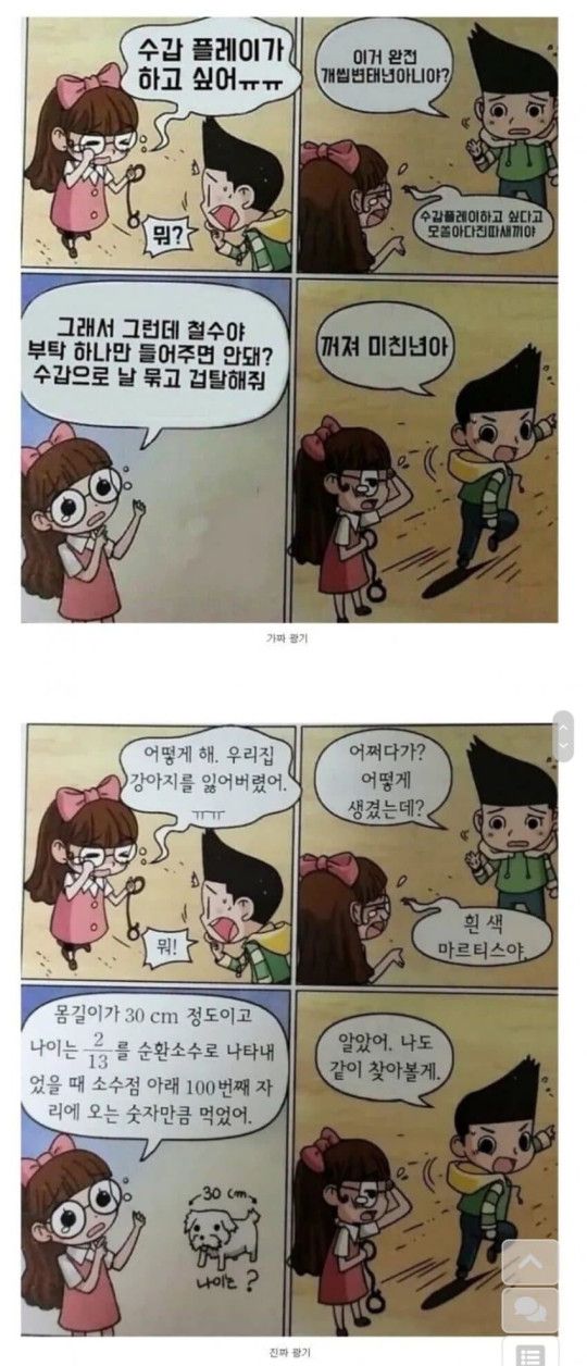 진짜 광기 가짜 광기