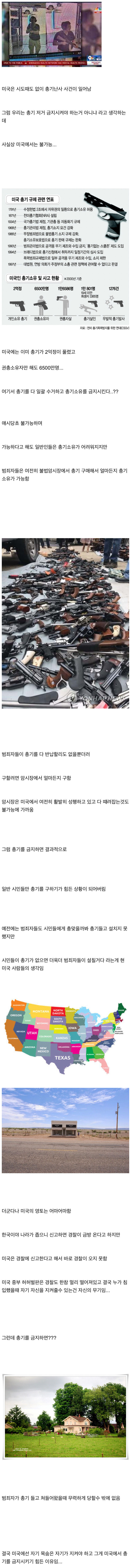 미국이 총기 금지 못하는 이유