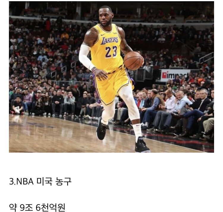 전세계 스포츠리그 경제가치 순위