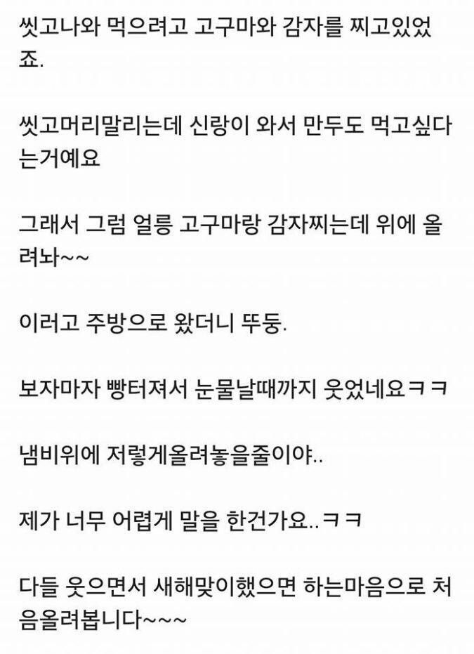 정신과 의사가 본 경계선 지능의 공통적 특징