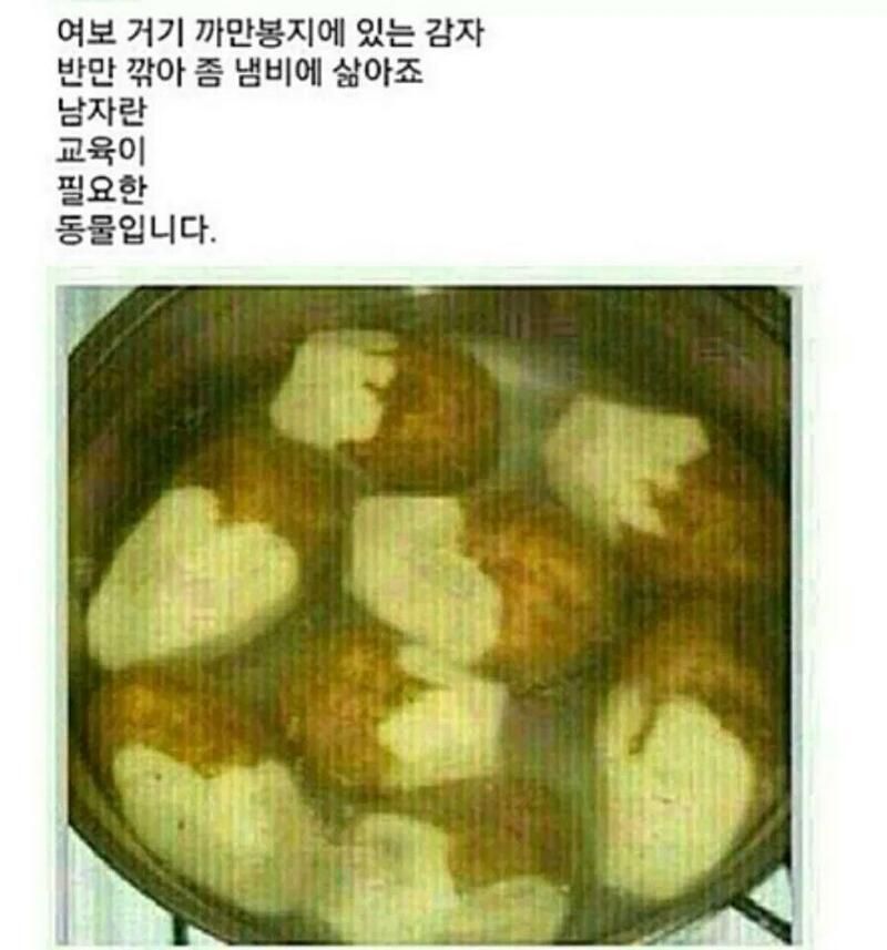 정신과 의사가 본 경계선 지능의 공통적 특징