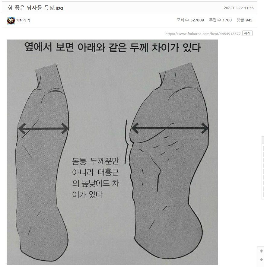 힘 좋은 남자들 특징