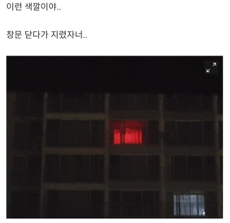 오해받고 신고 당하는 집