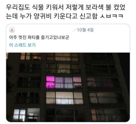 오해받고 신고 당하는 집