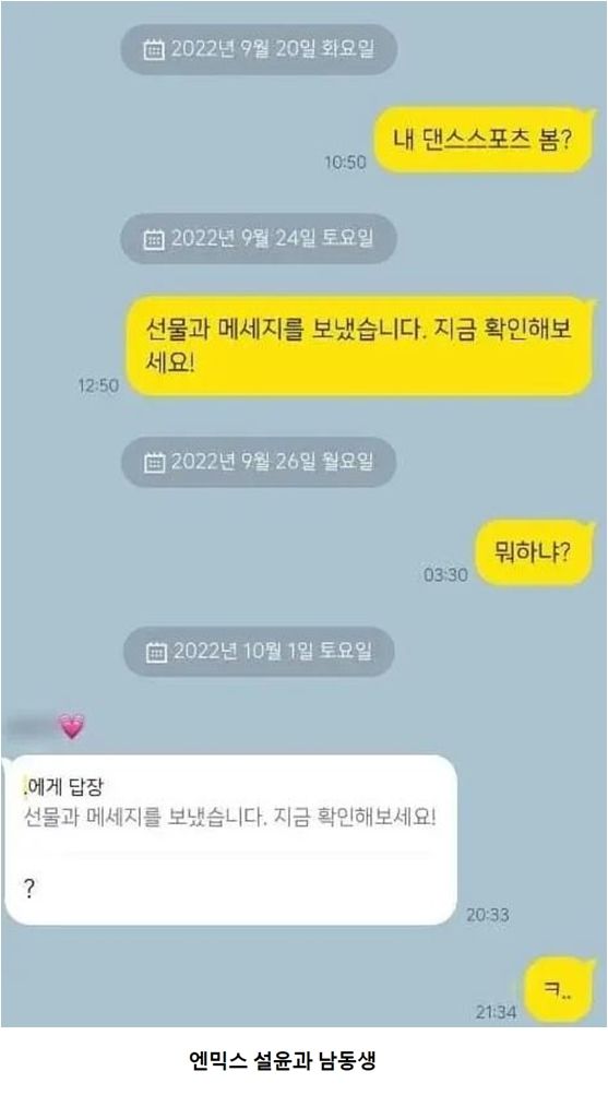 펌) 연예인 누나와 남동생의 찐남매 대화.