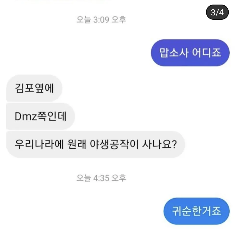 DMZ인근에서 발견된 북파공작