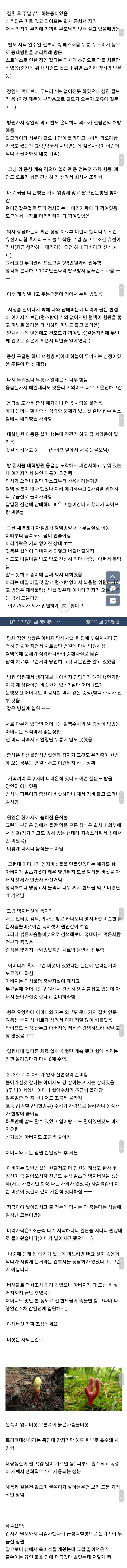 항암물질 버섯 먹은 썰