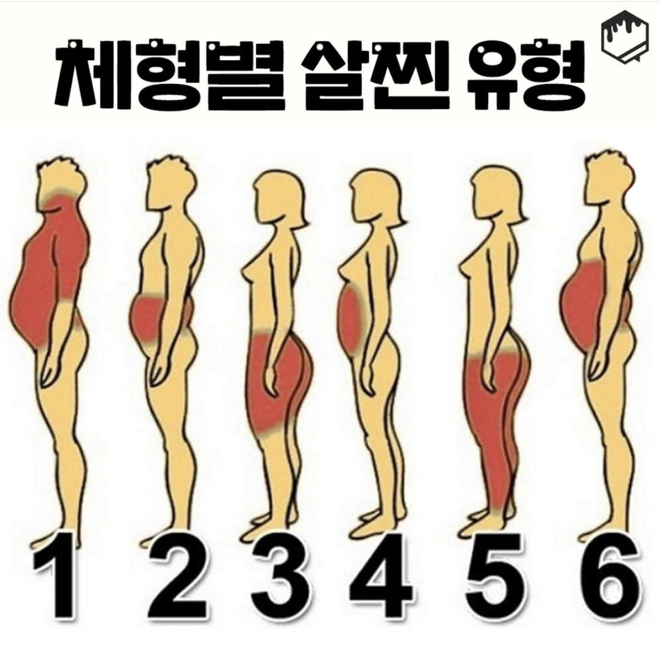 체형별 살찐 유형