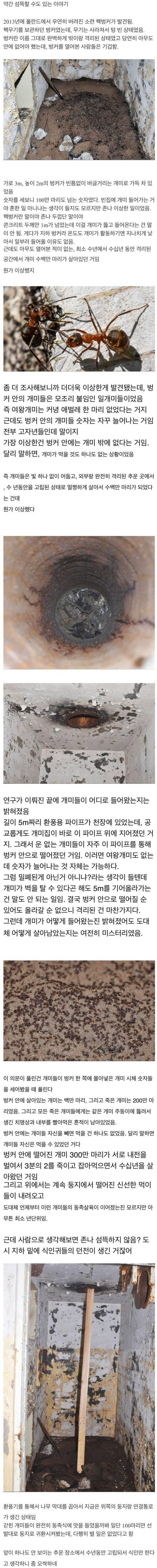 오싹한 동족 포식