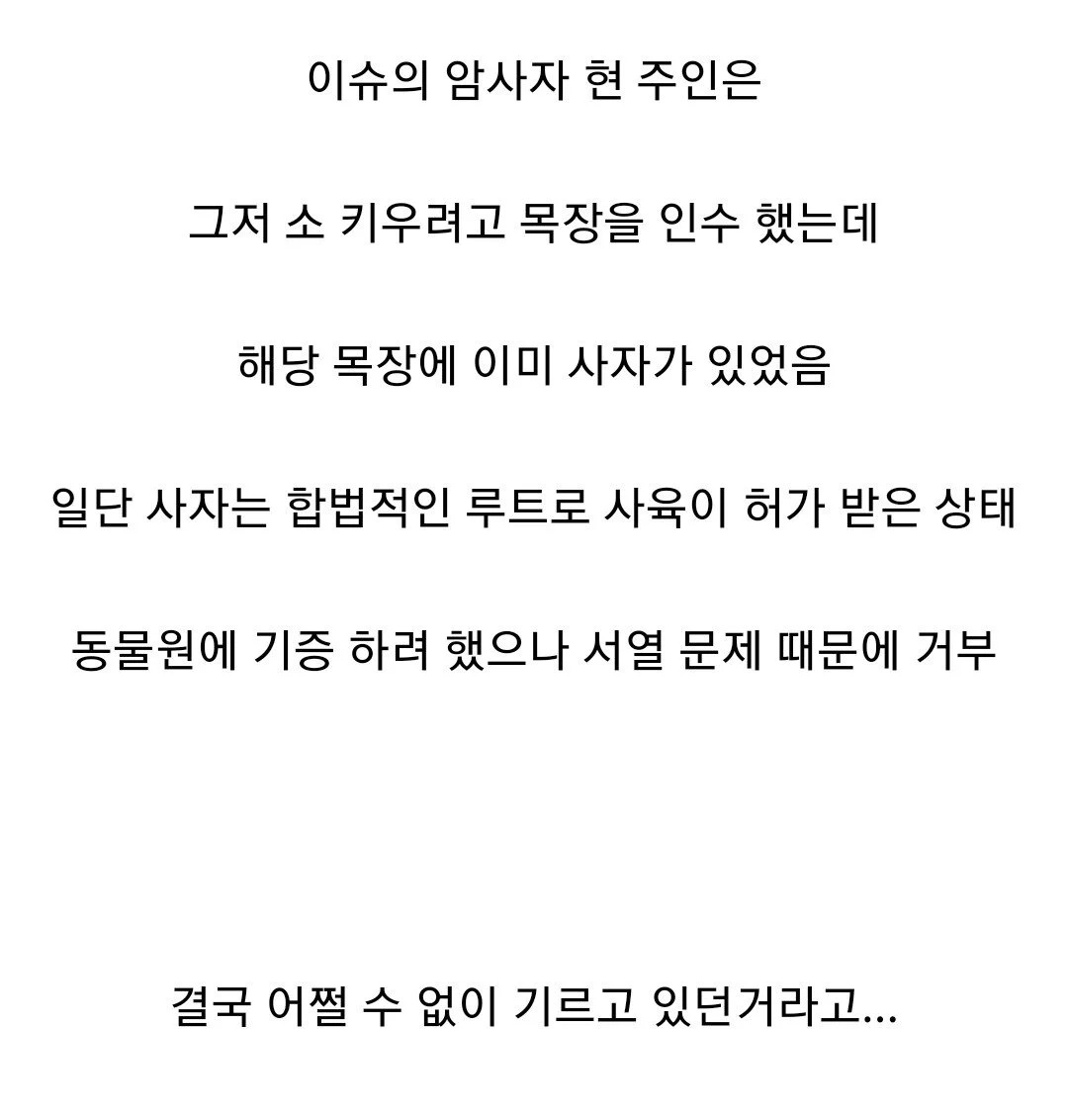 암사자 주인 원해서 키운것 아냐