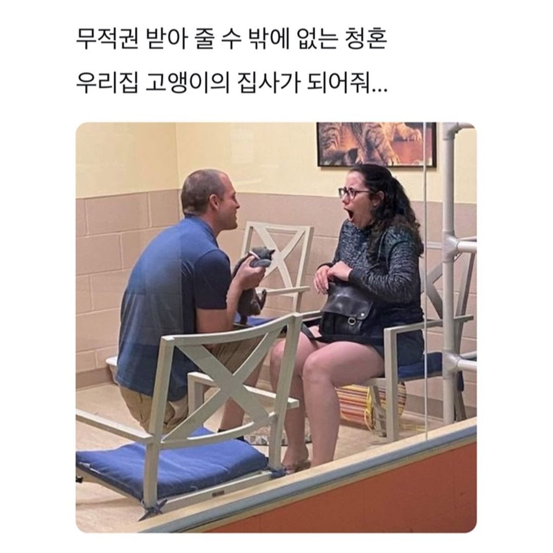 거부할 수 없는 청혼