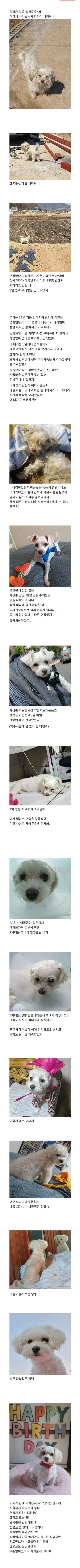 부모님 텃밭에서 시작된 인연