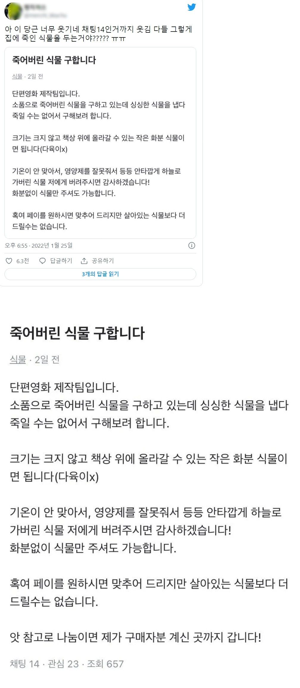 죽어버린 식물 구합니다