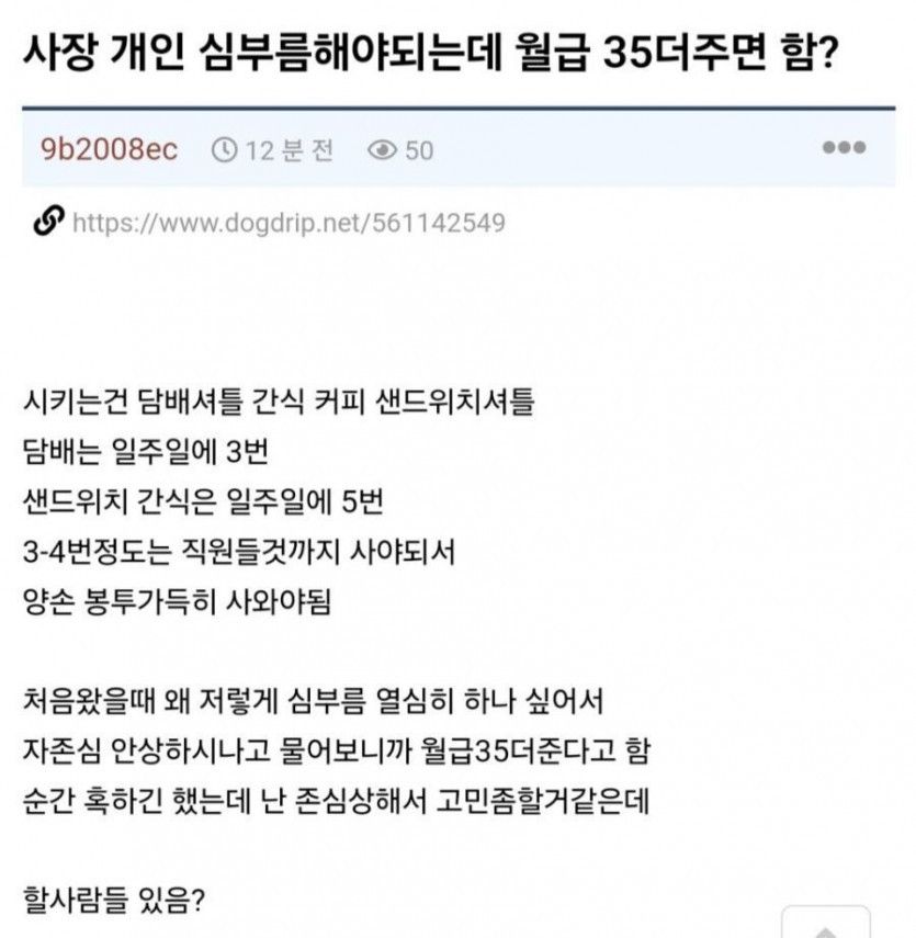 사장 개인 심부름해야되는데 월급 35더 주면 함?