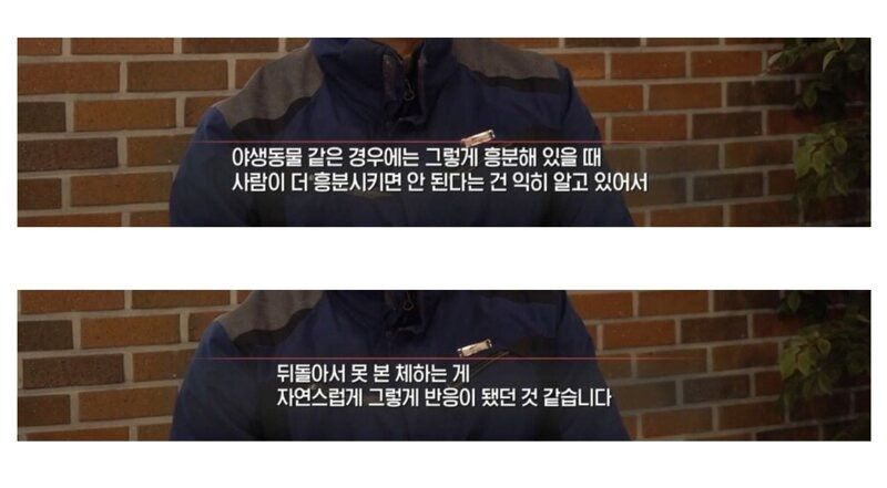 얼룩말 유턴좌 정체