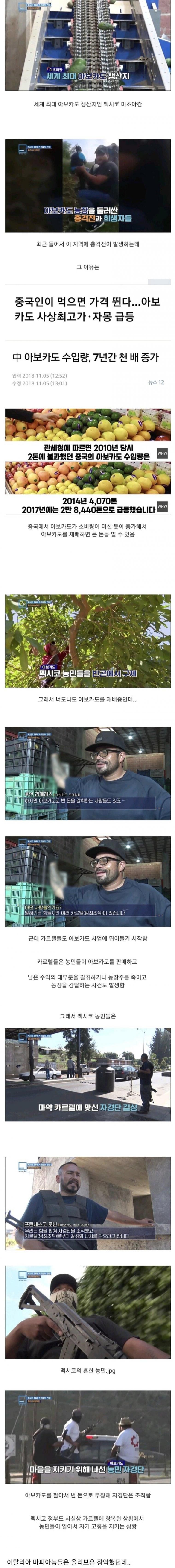 멕시코 카르텔의 새로운 돈벌이 수단