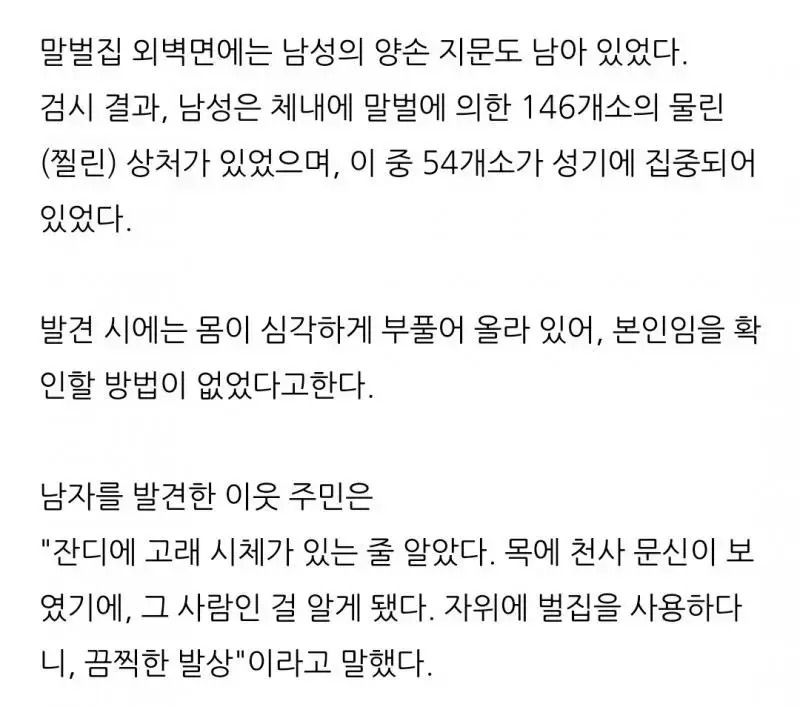 말벌에 온몸을 물려 사망한 남성