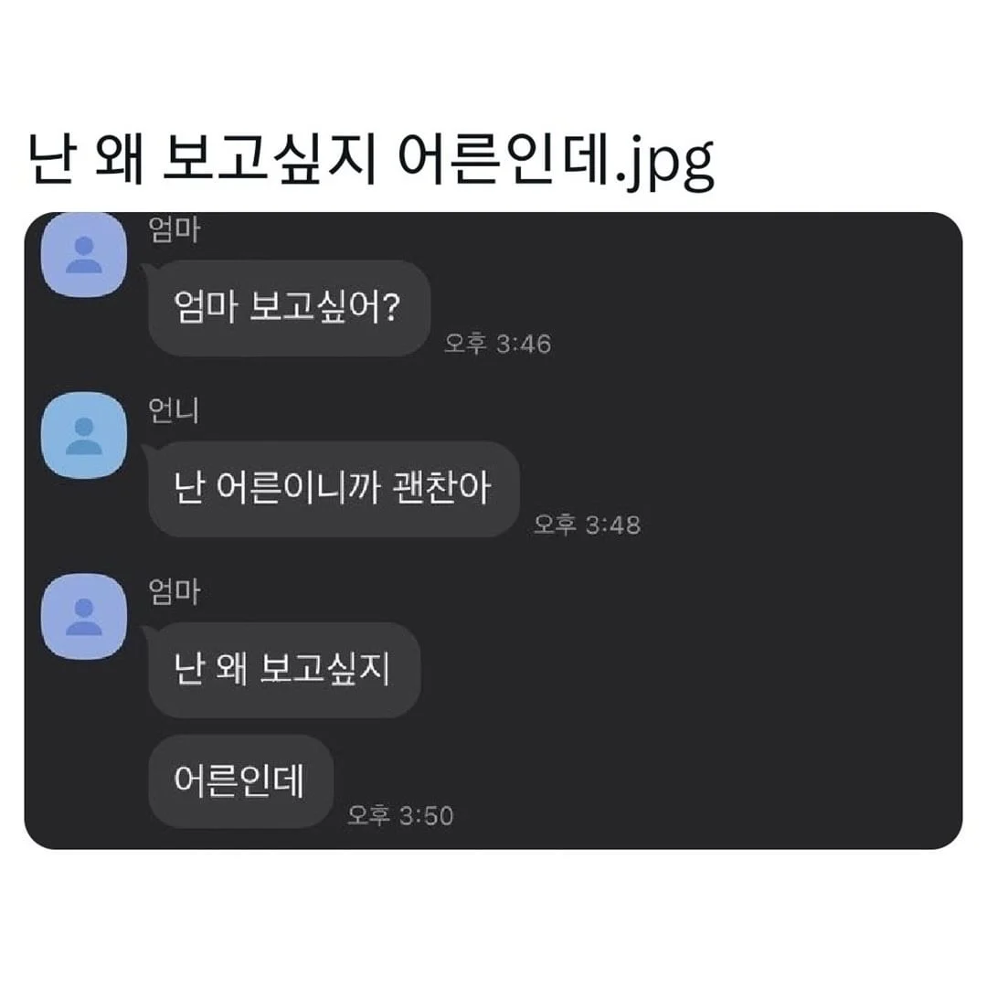 엄마 보고 싶다