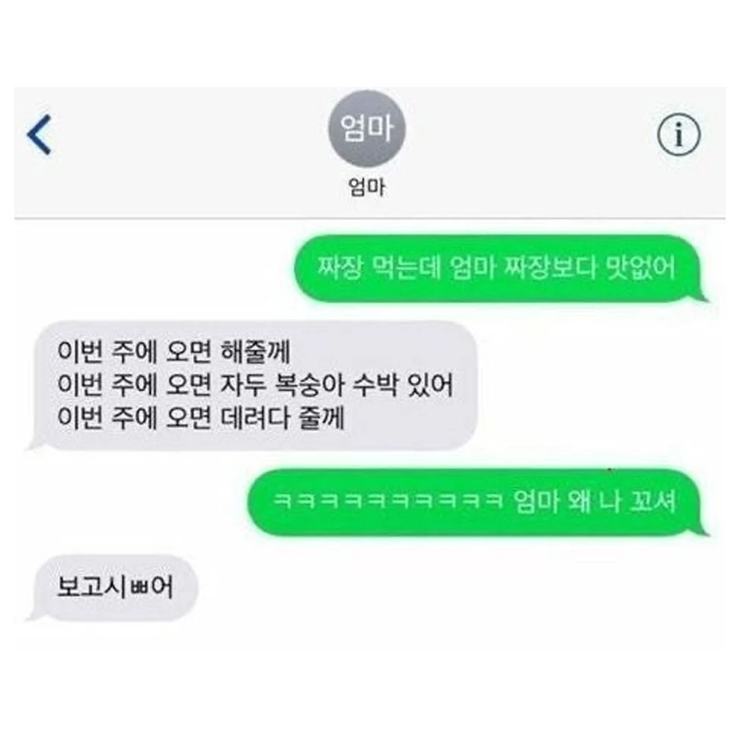 엄마 보고 싶다