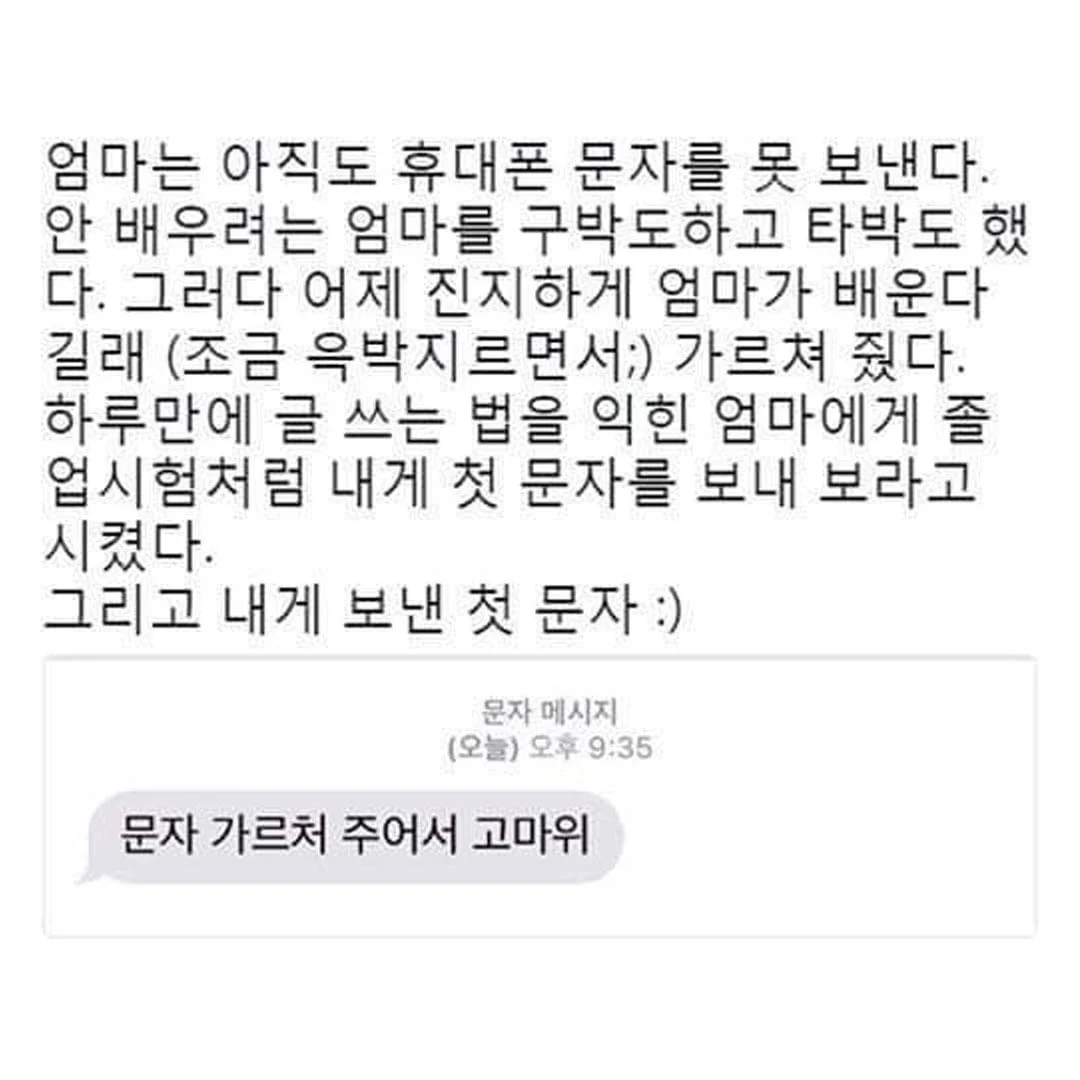 엄마 보고 싶다