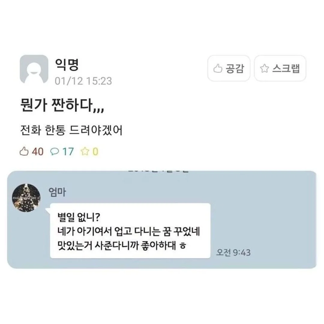 엄마 보고 싶다