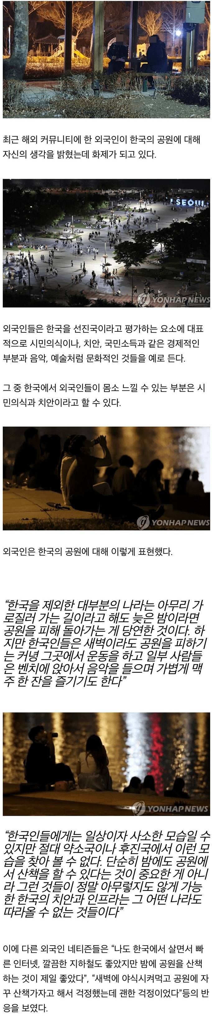 외국인들이 경험한 한국 공원의 밤