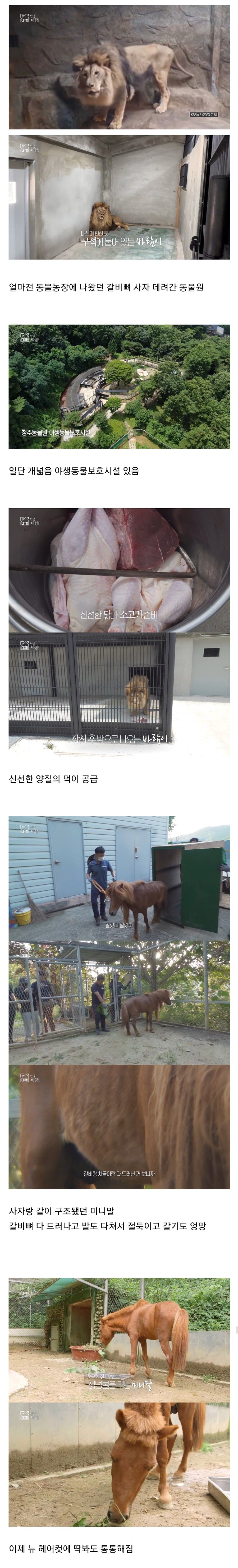 진짜 돈 많이 벌었으면 하고 바라는 동물원