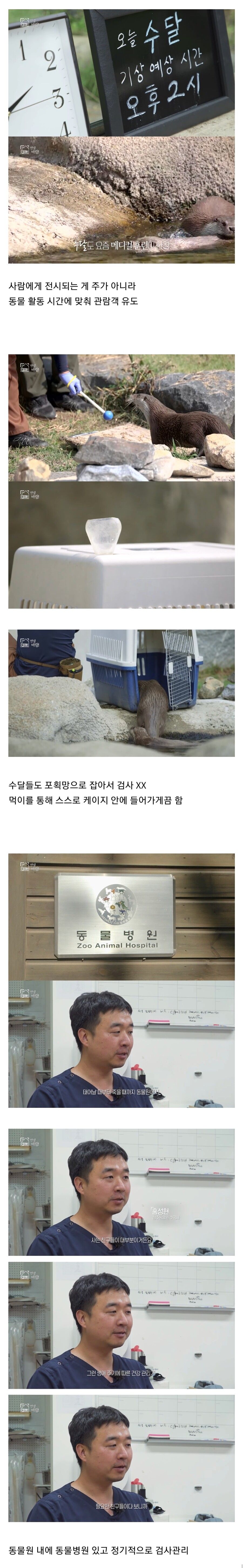 진짜 돈 많이 벌었으면 하고 바라는 동물원