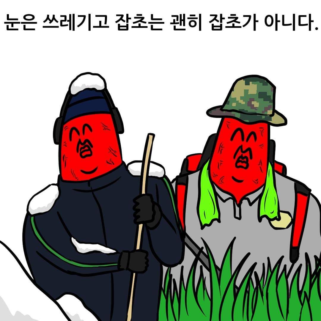 군대에서 알게 되는 사실들