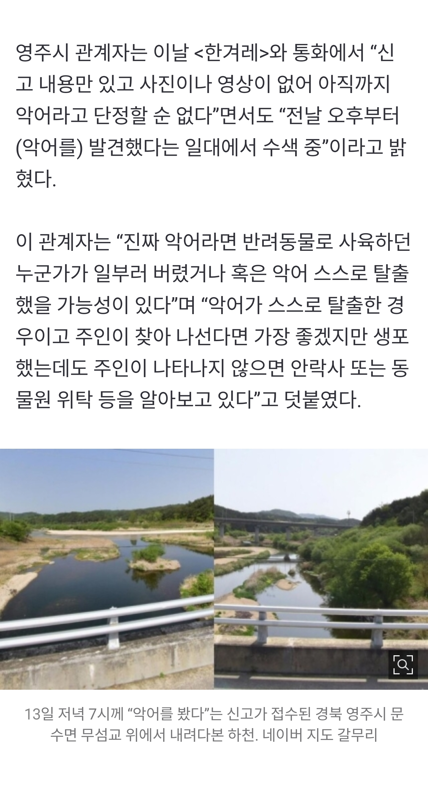 한국 악어 생존 썰