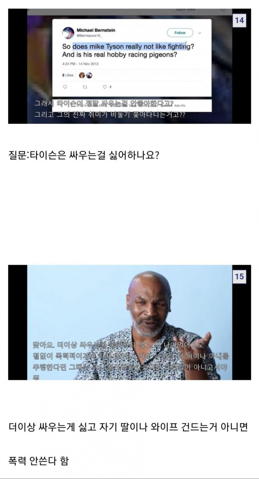 마이크 타이슨의 '무엇이든 물어보세요'