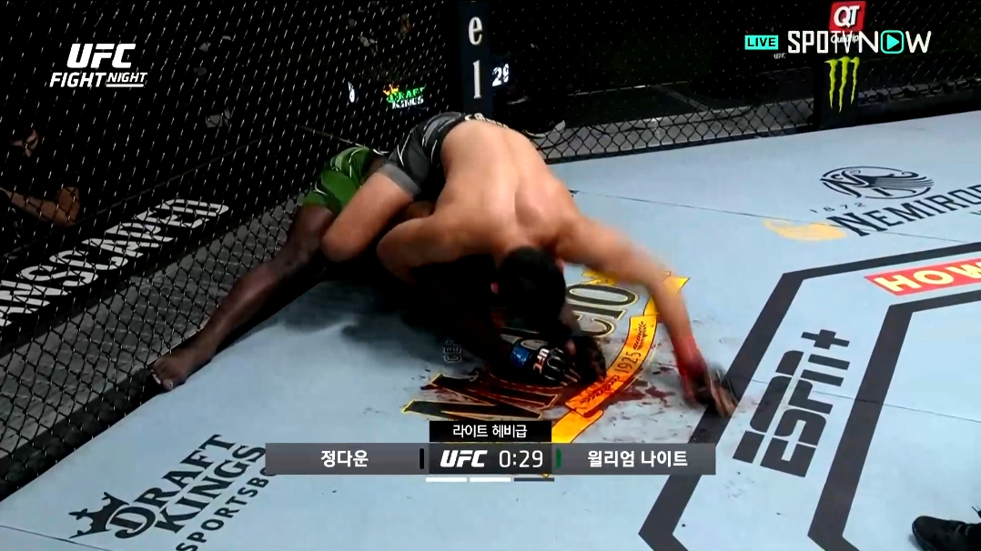 오늘자 UFC 정다운 경기요약