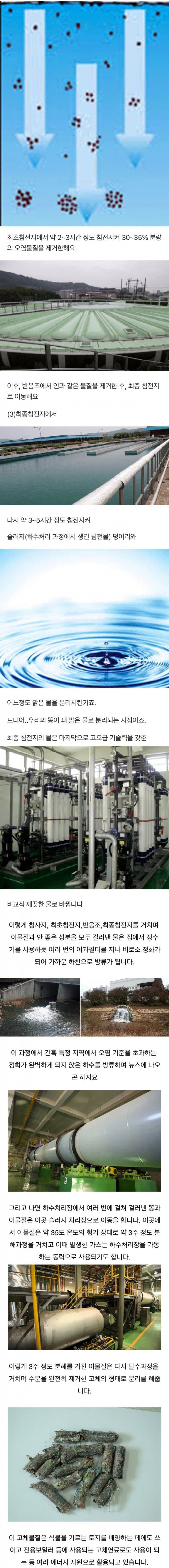 우리가 싼 똥 어디로 가는걸까.