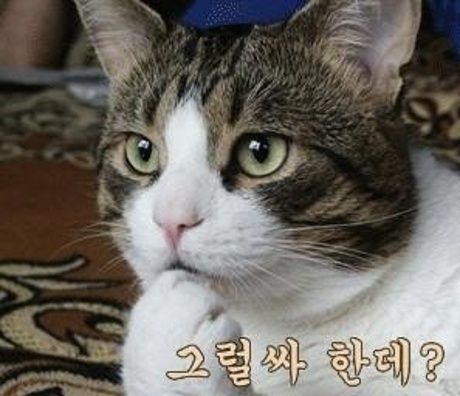 게임 진행자의 확률 문제