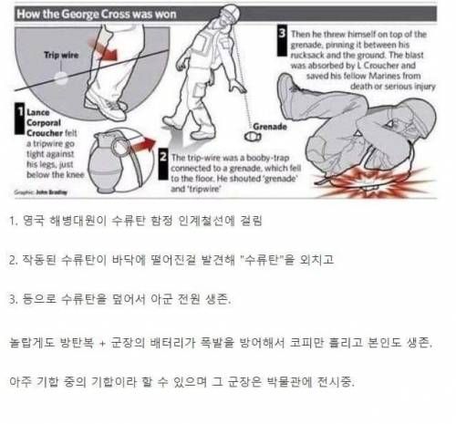 한 영국 해병대원의 평생 안주거리