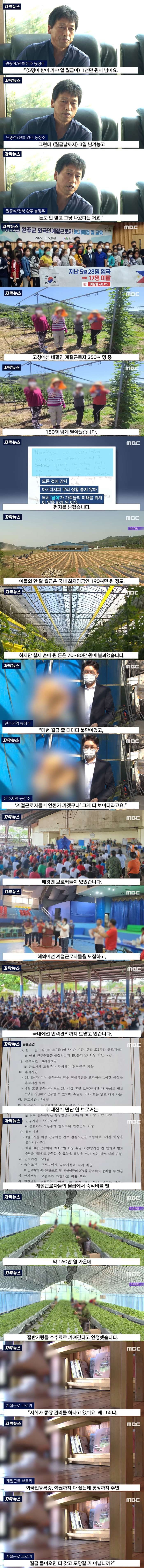 농가에 온 외노자들이 월급도 안 받고 도망가는 이유