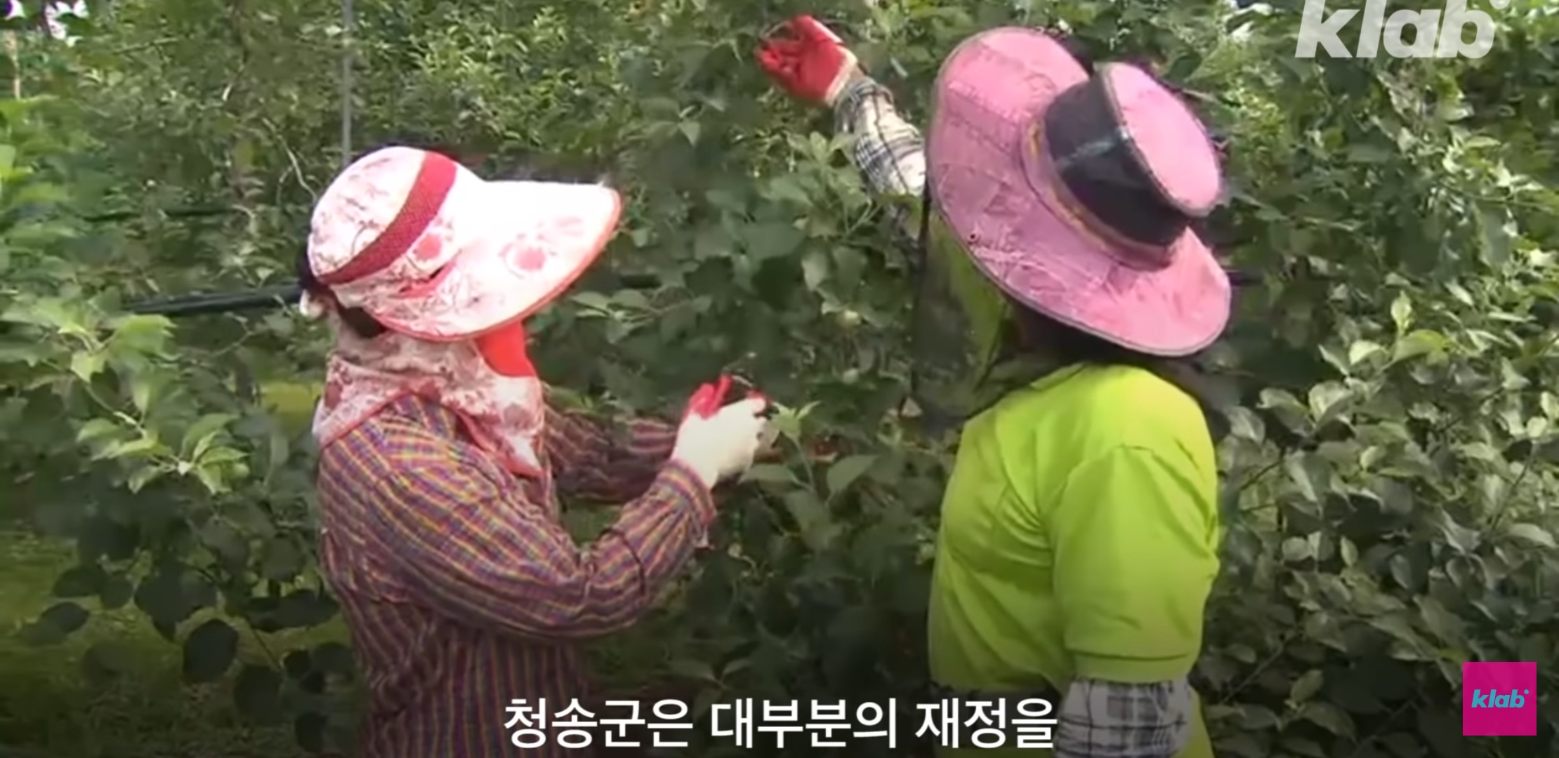 저희 지역에 교도소를 지어주세요