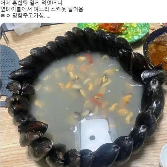 홍합 먹다가 며느리 스카웃제의 들어온 처자