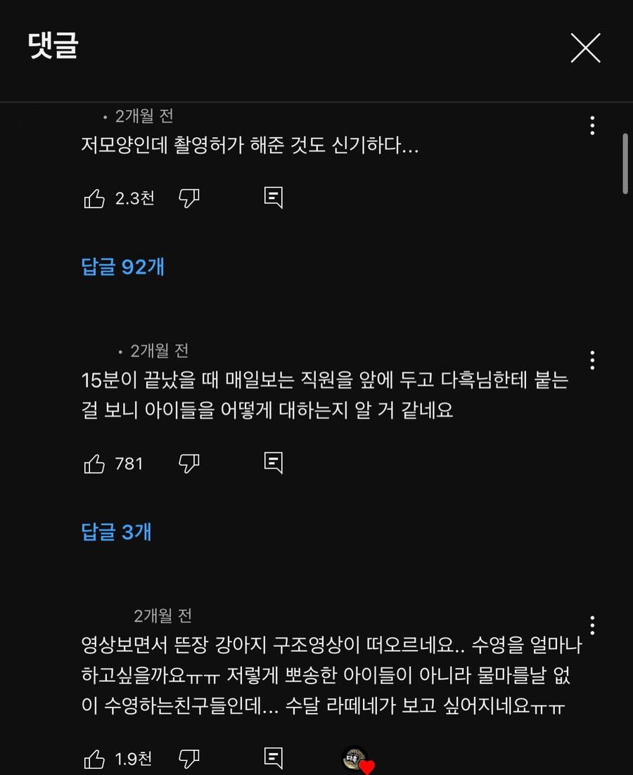 지옥이나 다름없는 충격적인 일본의 수달 카페