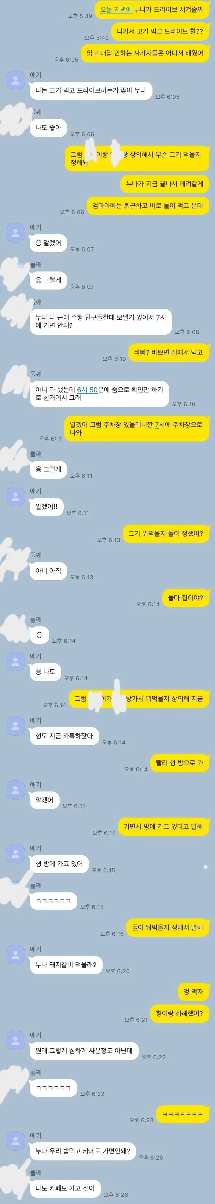 서로 싸운 남동생들 화해시키는 누나