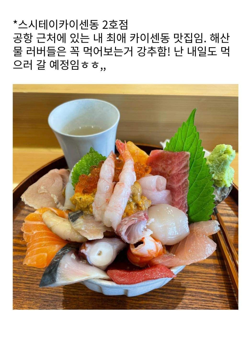 승무원 추천 제주도 맛집 리스트