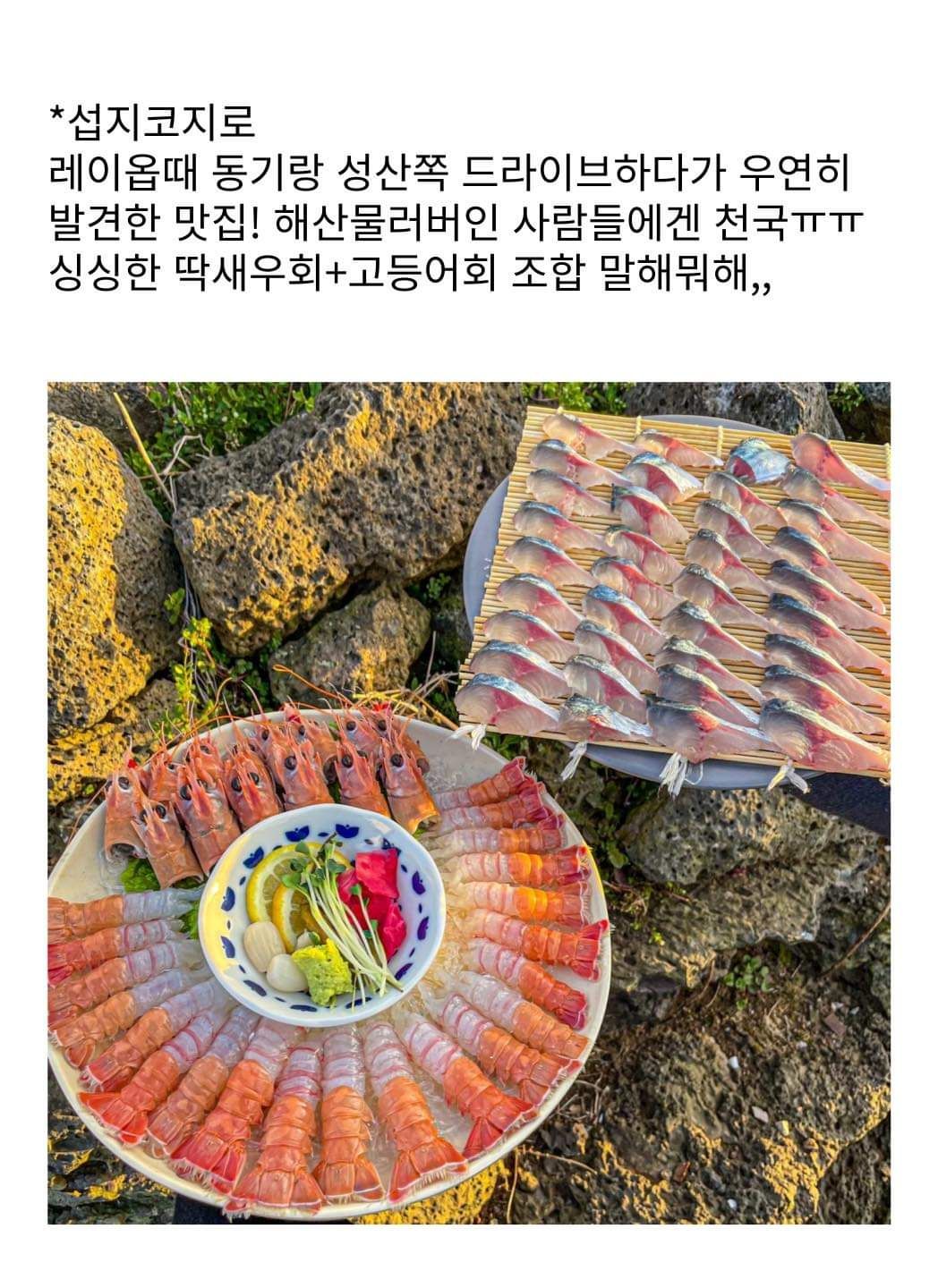 승무원 추천 제주도 맛집 리스트